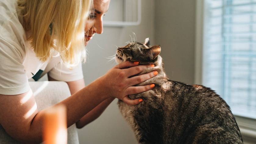 adana'da en iyi veteriner
