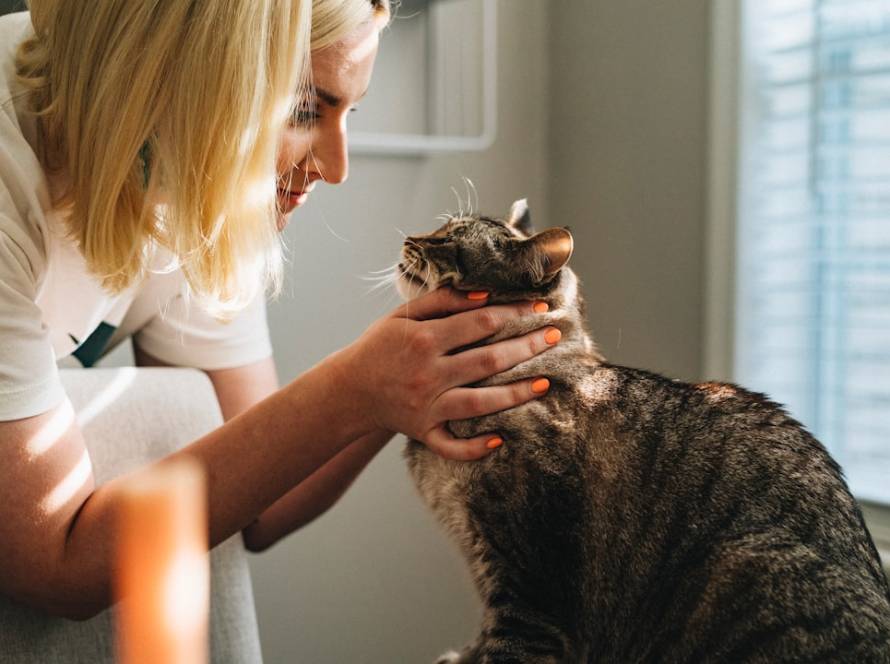 adana'da en iyi veteriner